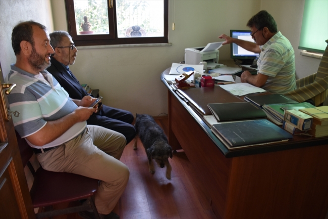 Trabzon'da Yenimahalle muhtarlığı 61 yıldır aynı aileye emanet